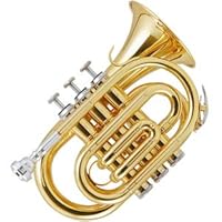 1/6のみ700円引き！ポケットトランペット Soleil ソレイユ 美品 Amazon | Soleil ソレイユ ポケットトランペット サクラ楽器オリジナル